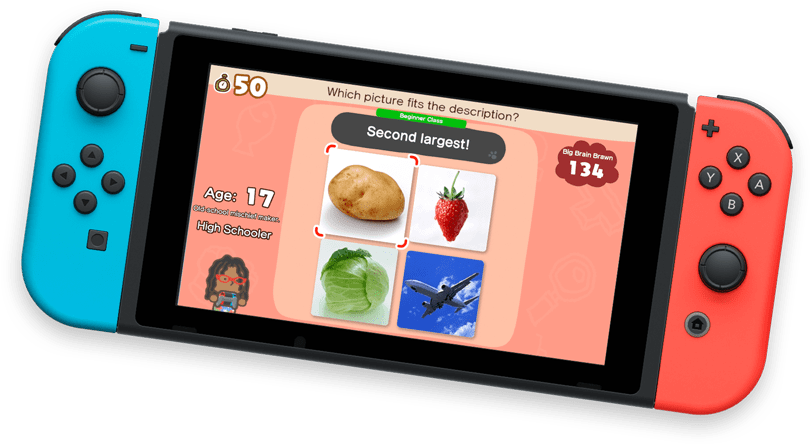 A block game is shown on a Nintendo Switch system. 